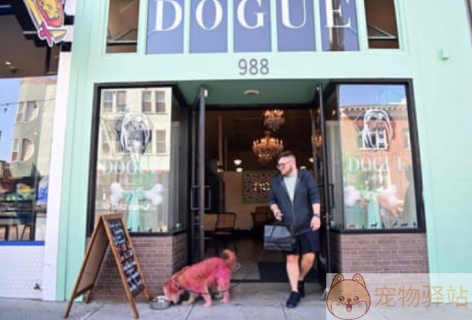 旧金山厨师推出狗狗餐厅，75美元即可让狗狗享用大餐